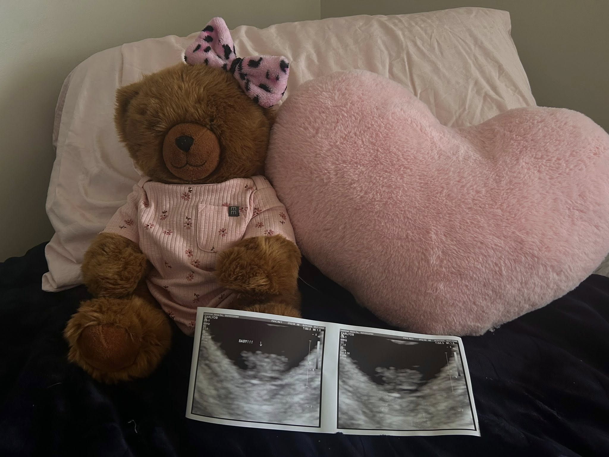Teddy Bear with Pink bow and Pink heart Pillow